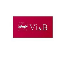 VI&B logo