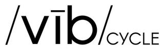 /VIB CYCLE/ logo
