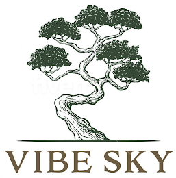 VIBE SKY logo