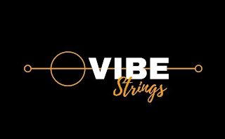 VIBE STRINGS logo