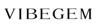VIBEGEM logo