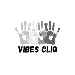 VIBES CLIQ logo