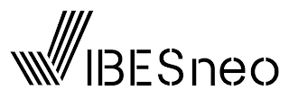 VIBESNEO logo