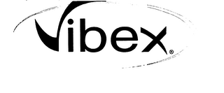 VIBEX logo