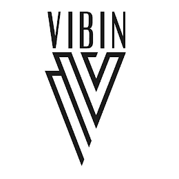 VIBIN V logo