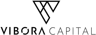 VIBORA CAPITAL logo