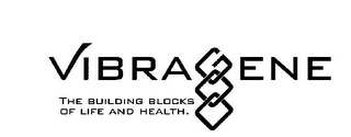 VIBRAGENE THE BUILDING BLOCKS OF LIFE AND HEALTH. logo