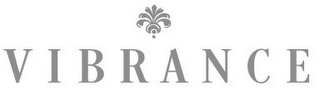 VIBRANCE logo