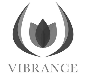 VIBRANCE logo