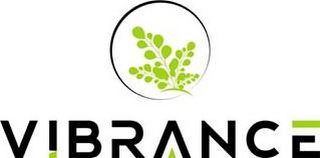 VIBRANCE logo