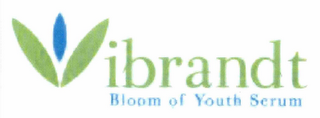 VIBRANDT logo