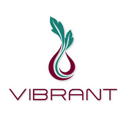VIBRANT logo