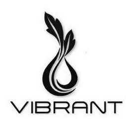 VIBRANT logo