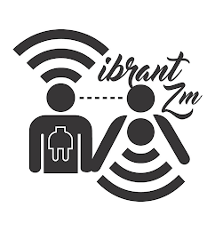 VIBRANT IZM logo