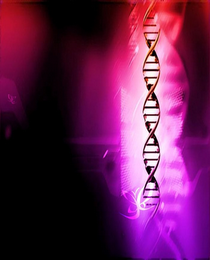 VIBRATIONAL SYNERGY logo