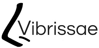 VIBRISSAE logo