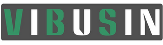 VIBUSIN logo