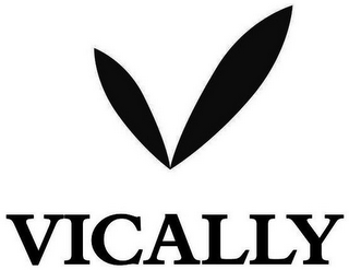 VICALLY logo
