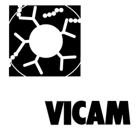 VICAM logo