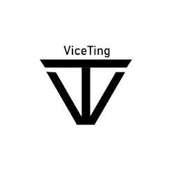 VICETING VT logo