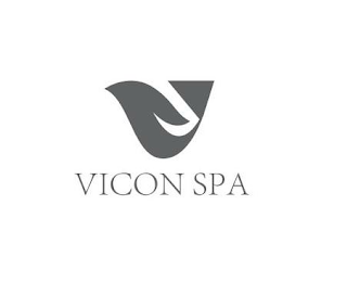 VICON SPA logo
