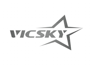 VICSKY logo