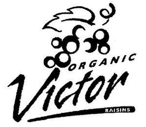 VICTOR ORGANIC RAISINS logo