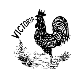 VICTORIA logo