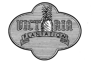 VICTORIA PLANTATION logo