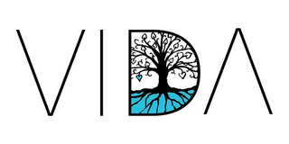 VIDA logo