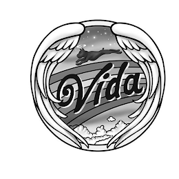 VIDA logo