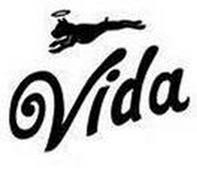 VIDA logo