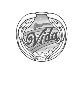 VIDA logo