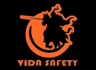 VIDA SAFETY logo
