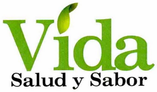 VIDA SALUD Y SABOR logo