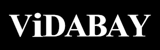 VIDABAY logo
