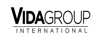 VIDAGROUP INTERNATIONAL logo