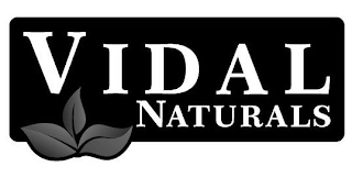 VIDAL NATURALS logo
