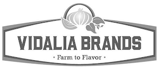 VIDALIA BRANDS · FARM TO FLAVOR · logo