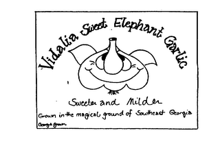 VIDALIA SWEET ELEPHANT GARLIC SWEETER AND MILDER GROWN IN THE MAGICAL GROUND OF SOUTHEAST GEORGIA GEORGIA GROWN logo