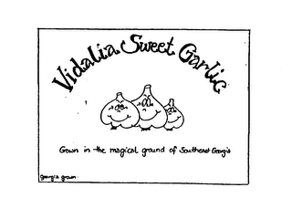 VIDALIA SWEET GARLIC GROWN IN THE MAGICAL GROUND OF SOUTHEAST GEORGIA GEORGIA GROWN logo