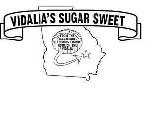VIDALIA'S SUGAR SWEET FROM THE MAGIC SOIL OF TOOMBS COUNTY, HOME OF THE VIDALIA logo