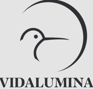 VIDALUMINA logo
