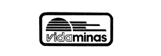 VIDAMINAS logo