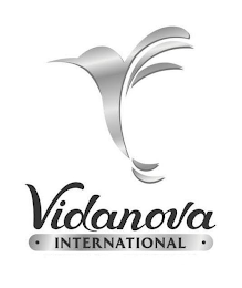 VIDANOVA INTERNATIONAL logo