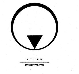VIDAR CONSULTANTS logo