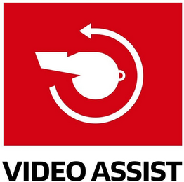 VIDEO ASSIST logo