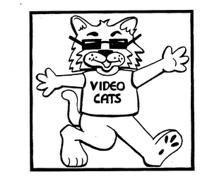 VIDEO CATS logo