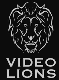 VIDEO LIONS logo