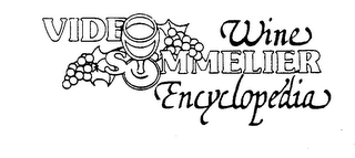 VIDEO SOMMELIER WINE ENCYCLOPEDIA logo